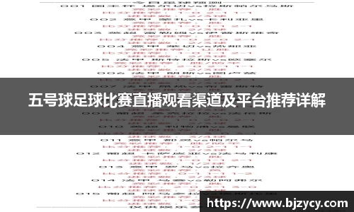 五号球足球比赛直播观看渠道及平台推荐详解