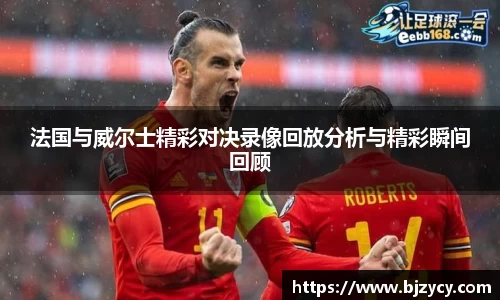 法国与威尔士精彩对决录像回放分析与精彩瞬间回顾